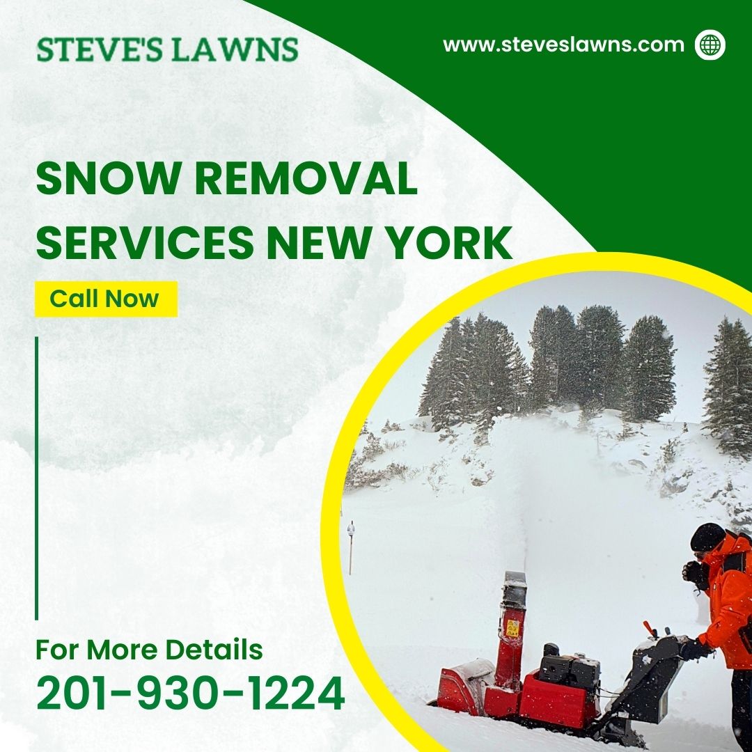 Get Reliable Snow Removal Services Newyork For Winter Season